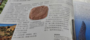 新書上市DK史前博物大百科 +50周年紀(jì)念版 規(guī)格自選 史前動植物科普全書 DK史前博物大百科 曬單實拍圖