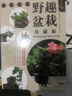 綠指環(huán)生活書系：野趣盆栽（珍藏版） 曬單實拍圖