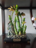 阿首節(jié)節(jié)高升招財(cái)富貴竹子擺件客廳入戶玄關(guān)辦公室工藝品喬遷新居禮品 節(jié)節(jié)高升竹子【高37cm】有字款 曬單實(shí)拍圖