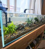卡絡(luò )繹金晶五線(xiàn)超白魚(yú)缸家用客廳窄條魚(yú)缸中小型辦公桌面玻璃魚(yú)缸溪流缸 裸缸+電梯送貨上門(mén)+錄開(kāi)箱視頻包損 長(cháng)120厘米寬40厘米高40厘米厚10毫米 曬單實(shí)拍圖