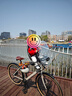 拓樂（THULE）自行車快拆便攜前置兒童座椅Thule Yepp Nexxt 2 mini 12021158/雪白色 曬單實拍圖