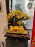金蟾聚寶盆發(fā)財樹擺件客廳酒柜招財貔貅裝飾品店鋪開業(yè)禮品裝飾品 小號 財源廣進金蟾 曬單實拍圖
