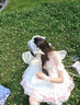 閃動(dòng)少女（SHANDONGSHAONV）洛麗塔lo蘿莉塔原創(chuàng  )芭蕾風(fēng)Lolita連衣裙禮洛麗塔正版現貨 單粉綠色裙子 2XL (135斤到150斤) 曬單實(shí)拍圖