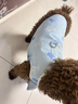 甜苗苗狗衣服夏季薄款涼涼衣防掉毛牽引狗狗防曬衣柯基比熊透氣降溫背心 防曬涼涼衣背心【藍(lán)色海豚】 M（建議體重5-8斤） 蓄水降溫,涼爽防暑 曬單實(shí)拍圖