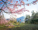 松下（Panasonic）12-35mm F2.8新版松徠鏡頭 微單數(shù)碼相機廣角變焦鏡頭 M43卡口微單鏡頭 H-ES12035GK【徠卡認證】 曬單實拍圖