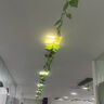 希盼（xipan）仿真葉子吊頂綠葉裝飾樹葉綠植物假花藤條塑料管道藤蔓纏繞花藤 款115米加大號葡萄葉+4葡萄4燈籠 曬單實拍圖