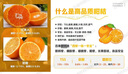 ppt代制作高端PPT代做排版美化設計定制幻燈片醫學(xué)述職報告幫忙做工作匯報企業(yè)宣傳答辯演講課件模板 ppt代制作5 曬單實(shí)拍圖