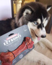 EZYDOG澳洲進(jìn)口狗玩具飛盤互動(dòng)玩具骨頭磨牙耐咬陪伴解悶大中小型犬玩具 天然橡膠牛骨（中號(hào)15cm） 曬單實(shí)拍圖