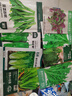 壽禾菠菜種子苗秋季蔬菜種籽陽(yáng)臺(tái)家庭種植 菠賽冬紅根圓葉菠菜種子25g 曬單實(shí)拍圖