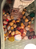專吃魚屎糞便黃金小河蚌河蜆淡凈水觀賞螺鮮活物黃金螺貝殼苗活體 河蜆10顆送8顆備損(凈水觀賞） 曬單實(shí)拍圖
