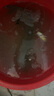 達瓦本川進(jìn)口高碳魚(yú)竿手竿超輕超硬十大臺釣魚(yú)竿鯽鯉魚(yú)竿輕量綜合竿大物竿 7.2m 19調鰱鳙大物竿+原裝竿稍 曬單實(shí)拍圖