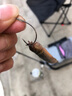 歐娜（OLLA）新款進口日本歐娜魚鉤細絲泥鰍鉤寬鉤門掛蝦活餌筏釣鉤翹嘴路亞鉤 超細泥鰍鉤30枚 8號 曬單實拍圖