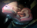 innokids兒童安全座椅汽車(chē)用0-4-12歲360度旋轉嬰兒i-size車(chē)載 夢(mèng)幻守護者 【旗艦款】公主粉+可折疊支撐腿 曬單實(shí)拍圖