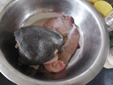 從都園順豐包郵娃娃魚(yú)活體生鮮大鯢海鮮水產(chǎn)鮮活淡水魚(yú)肉質(zhì)鮮美3-18斤 一條15斤 曬單實(shí)拍圖