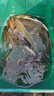MERRTO土鯪魚(yú)餌料花生顆粒窩料土鯪專(zhuān)攻魚(yú)料野釣泰鯪麥鯪魚(yú)餌紅眼配方餌 花生重窩顆粒1包(800克) 曬單實(shí)拍圖