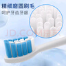玄艾佳（Xuan Ai Jia）適配飛利浦電動牙刷頭HX3216/HX3226/HX6511/HX6730/HX6530/HX5171/HX5181通用替換刷頭 8支 HX9031牙齦護理 曬單實拍圖