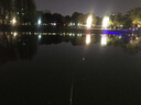 日夜兩用夜光漂高靈敏度咬鉤變色電子魚漂醒目鯽鯉鰱鳙浮漂夜釣漂 FW-03【吃鉛2.5g】 【咬鉤變色】二支+2粒電池 曬單實(shí)拍圖