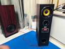 索愛（soaiy）K25家庭影院KTV音響藍牙電視客廳會議環(huán)繞家用卡拉OK低音炮K歌唱歌組合落地音箱 K25家庭音響+雙話筒 曬單實拍圖