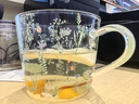 西比爾小清新玻璃杯大容量耐高溫家用咖啡杯早餐杯涼白開(kāi)水壺套裝禮盒 小草苓 刻度玻璃杯 曬單實(shí)拍圖