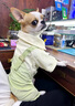 阿莫爾寵物狗狗衣服可牽引比熊雪納瑞中小型犬泰迪春秋裝薄款四腳背帶褲 韓版背帶褲【可牽引】 XS(建議1-3斤具體參考胸圍背長) 曬單實拍圖