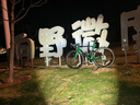 喜德盛公路自行車AD7碳纖維破風(fēng)車架2*12電子變速 油壓碟剎 綠魔（SRAM版） 700C*500 曬單實(shí)拍圖