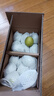 【順豐發(fā)貨】新疆庫爾勒香梨新生鮮水果冰糖雪梨大美疆遇禮盒整箱 庫爾勒香梨8斤特大果150g+ 曬單實(shí)拍圖