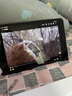 ipad mini6 mini7 mini5 ipad9/10/11 二手平板 蘋(píng)果平板電腦 平板ipad ipad7 32G 95新12期免息 曬單實(shí)拍圖