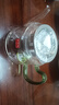 KAKV電陶爐茶壺耐高溫過(guò)濾玻璃燒水壺水杯套裝家用全自動(dòng)蒸茶壺茶具 綠把壺650ml 曬單實(shí)拍圖