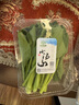 小湯山 有機油菜 約250g 有機蔬菜當天采摘北京農場(chǎng)順豐到家 曬單實(shí)拍圖