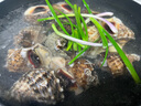 海螺鮮活特大新鮮海捕響螺帶黃貝類(lèi)生鮮海鮮水產(chǎn)批發(fā)3斤5斤裝順豐 特大號(hào)3斤裝（約2-4個(gè)/斤） 曬單實(shí)拍圖
