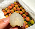 壹萌果蔬正宗綠心獼猴桃奇異果新鮮當(dāng)季水果湘西米糧一號(hào)送禮整箱發(fā)出 5斤精選果【單果50-70g】?jī)?.5斤 曬單實(shí)拍圖
