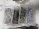 航海貓 東山島新鮮沙蟲(chóng)去內臟 海鮮水產(chǎn)鮮活速凍沙蟲(chóng)新鮮海腸子福建特產(chǎn) 新鮮沙蟲(chóng)500g 曬單實(shí)拍圖