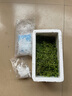 新鮮現(xiàn)采鵝不食草野生天然鵝仔不吃草汁滴鼻100g  300g中藥材 新鮮200克送濾布+噴壺【冷鏈發(fā)貨 曬單實(shí)拍圖