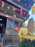 邵永豐成正手工麻餅糕點(diǎn)零食 中華老字號非遺衢州特產(chǎn)黑芝麻餅?zāi)曦浂Y盒送禮 350g石臼麻沙味*1盒 曬單實(shí)拍圖