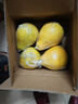 柚滿(mǎn)園【純甜不酸】梅州沙田柚子正宗特產(chǎn)廣東金柚碌柚新鮮水果沙甜柚 高山老樹(shù)【本店招牌】帶箱9-10斤 曬單實(shí)拍圖