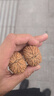 芠拉文玩超大猴頭核桃手把件精品野生獅子頭紅皮骨質(zhì)好秒沉水 猴頭40mm一對(duì) 曬單實(shí)拍圖
