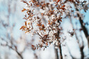適馬（SIGMA） 50mm F1.4 DG DN 大光圈定焦微單鏡頭 索尼E口 DG DN 卡色升級套裝【金環(huán)UV+濾鏡套裝+送豪禮】 曬單實拍圖