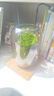 桌面創(chuàng)意微景觀綠植diy擺件禮物客廳辦公室夜燈苔蘚盆栽植物盆景 生命之樹（煙灰色）+木制燈座 曬單實拍圖