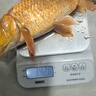 川澤一線(xiàn)磁拉餌盤(pán)全磁通用強磁開(kāi)餌盆魚(yú)餌料盒支架一體競技散炮盆黑坑 透黑色【二層小號】7顆磁石 升級款不進(jìn)水不翹邊 曬單實(shí)拍圖