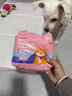 甜苗苗狗狗生理褲寵物紙尿褲中小型犬姨媽褲尿不濕狗姨媽巾大型犬月經(jīng)褲 生理紙尿褲【女寶L】建議14-20斤 10片裝 曬單實(shí)拍圖