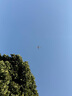 babylove嬰兒連褲襪春秋女寶寶襪子高彈不勒打底褲外穿百搭打底襪 曬單實拍圖