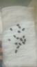 壽禾 西瓜種子多品種美都無(wú)籽早熟晚熟甜王巨型特大秋季四季 大果黑美人西瓜種子 20粒原裝 曬單實(shí)拍圖