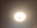 勤凱臥室燈吸頂燈現代簡(jiǎn)約led主臥燈2024年新款水晶書(shū)房房間燈具 海豚39.6cm三色45w 曬單實(shí)拍圖