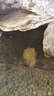 全福鯉 戶(hù)外錦鯉魚(yú)池過(guò)濾器大型水循環(huán)凈化系統304不銹鋼錦鯉池過(guò)濾設備 QL-3套餐適合0-2噸水包含水泵水管 曬單實(shí)拍圖