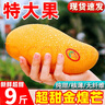 田良季正宗金煌芒【多倉閃送-多地次日達】新鮮特大水仙紙核廣西芒果 甄選老樹(shù)果-3斤裝-更香更甜 精選果-單果150g+ 甜 曬單實(shí)拍圖