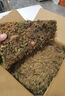臨雅青苔蘚鮮活微景觀綠植盆景桌面假山造景材料永生白發(fā)短絨源頭直發(fā) 曬單實拍圖