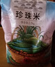 蓋亞農場(chǎng)東北珍珠米10斤當季新大米圓粒粳米編織袋包裝 東北珍珠米2.5kg 曬單實(shí)拍圖