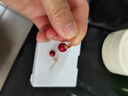 伊燦復古酒紅色仿珍珠耳釘女設計感高級新年耳墜2025新款爆款氣質(zhì)耳飾 紅色珠子耳釘 曬單實(shí)拍圖