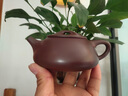 璽翰雅（ROYHOYE）正宗宜興紫砂壺名家工藝師純手工茶壺原礦老紫泥滿瓢壺景舟石瓢壺 景舟石瓢 十四孔出水 270ml 曬單實(shí)拍圖