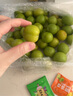 京逸現貨現摘李子新鮮三月李應季青李子酸脆珍珠李三華李孕婦水果整箱 2斤|中果【單果約新版1元硬幣大】 現摘現發(fā)+辣椒鹽 曬單實(shí)拍圖